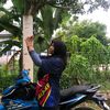 damia_225