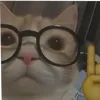 funnyvideos00017