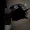 kevin_11_10_9_7
