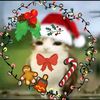christmas_freak_lol