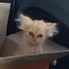 anhduc000026