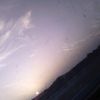 sofiaflores4328
