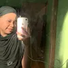anamerr16