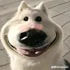 dthwquadihehe