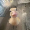 aloalozalo