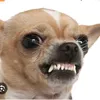 my.www.tiktok.com.h