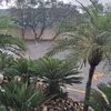 khalid.saad160