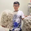 Aka Nest