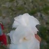 moyna.aktar22