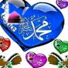 rokhanah914