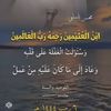 user4556124904547