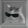 razz19905
