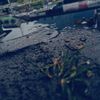 arrachelly_