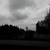 thelaiyahproject