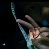 xyz_vnycr17