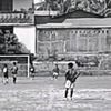 dafz252