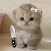 wony_981