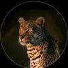 mahdi.badran34