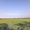 mabarrenk2
