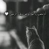 user2408349998175