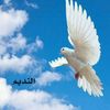 sulaiman.albuhair