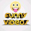 funnyvideo4296