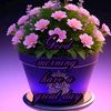 amra.hussain