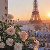 wateen_5186