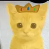 annoyingforfun1