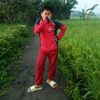 alin10050