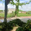 quehuong17.269