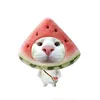 taolatoc0