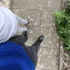kc_bxpir.4matt