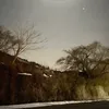 syakainohausudasut