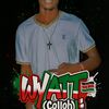 collincewyatt185