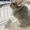 とと