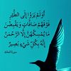 alush0314