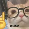 mesticantika