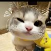kristin44_aa