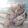 mfaisal3541
