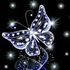 user2838079810723