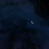 zainab.zainab6433