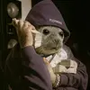 lilogang6