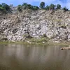 kotienkocotinhiu0