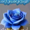 user2168..14810801