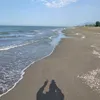 hdud83388484