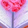 ziyad5663