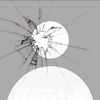 rara.12_8