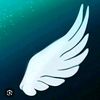sm_vagner.official