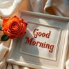 daily Quiz